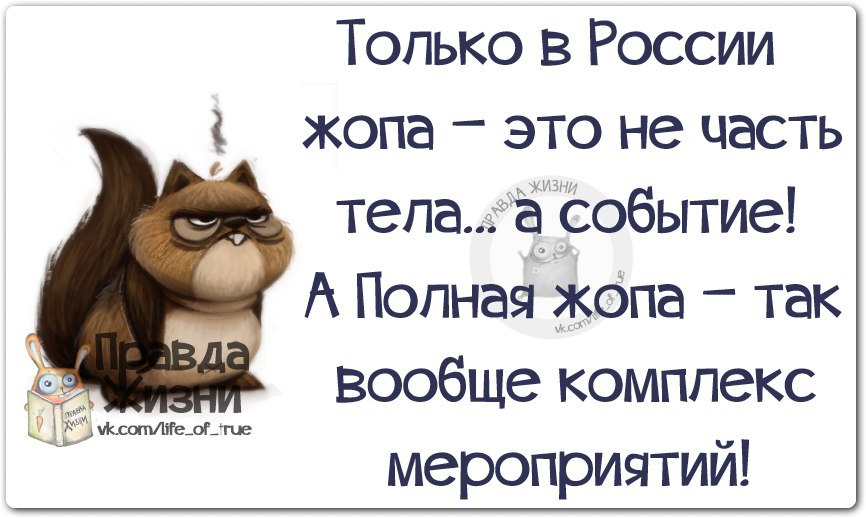 Картинки Со Смыслом Смешные С