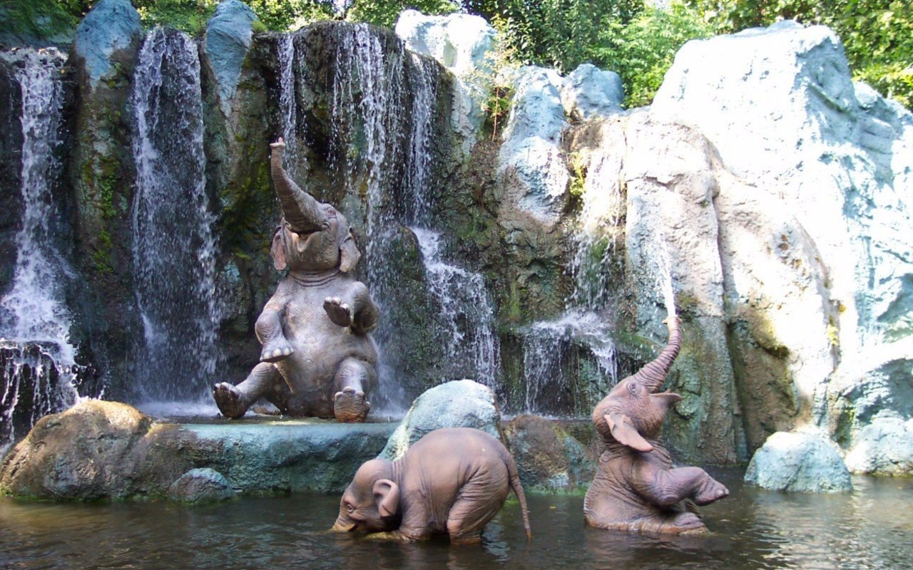 Слон под водопадом