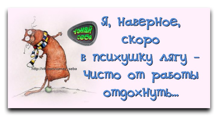 Смешные картинки про усталость на работе с надписями прикольные