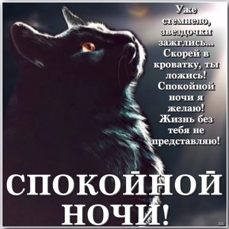 Пожелание Спокойной Ночи Любимому Мужчине Картинки