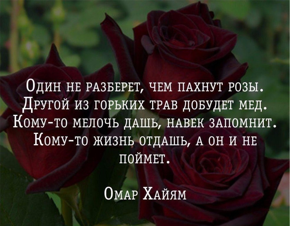 Статусы Розы Картинки