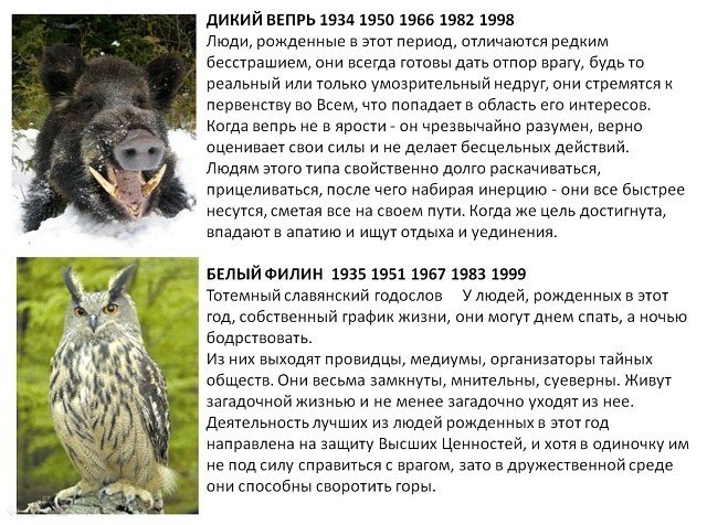 Славянский Тотемный Гороскоп По Дате Рождения Животные