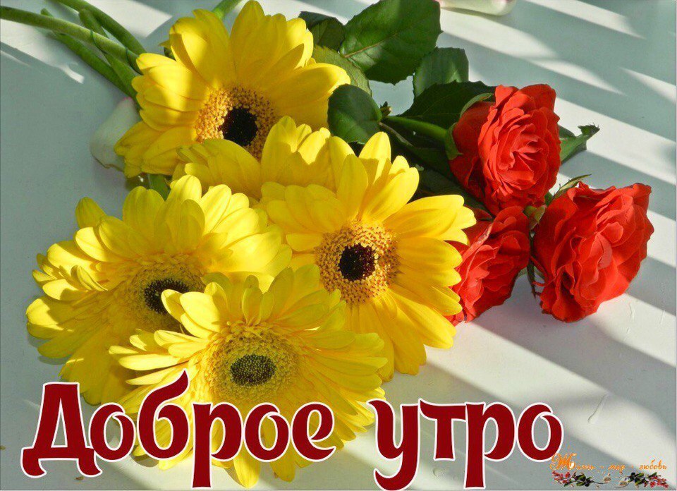 Привет Доброго Дня Красивые Картинки