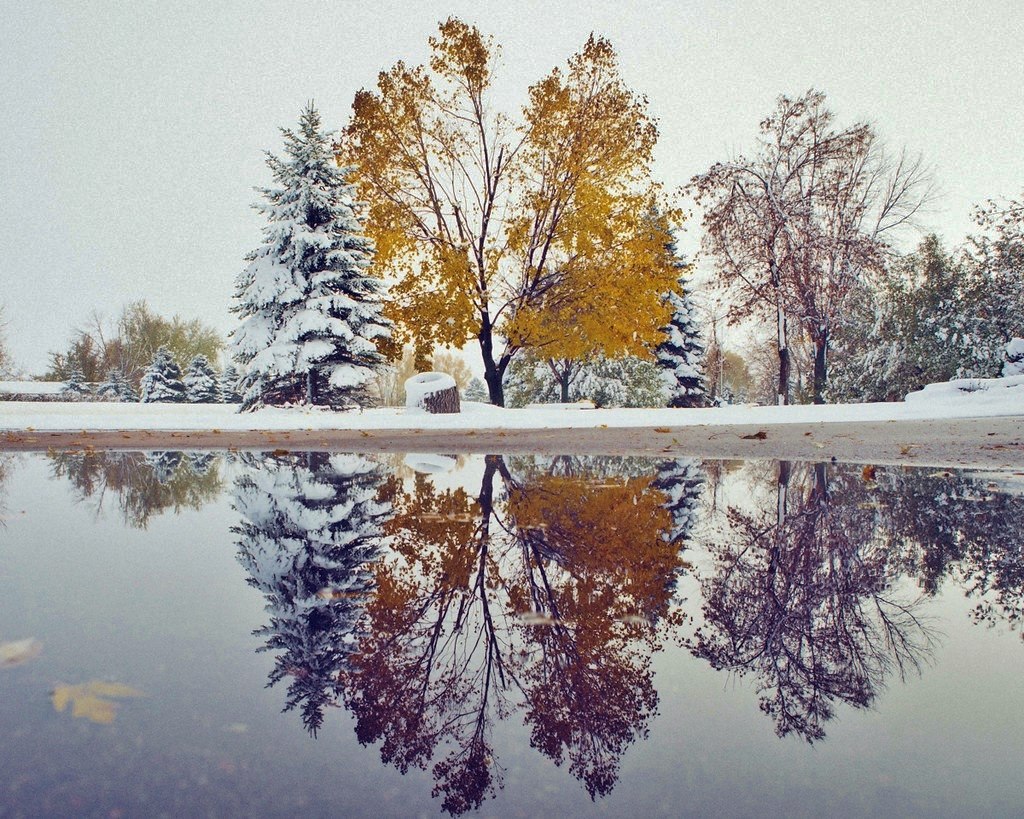 Осень зима