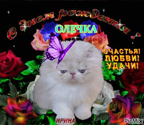 Картинки с днем рождения оля gif