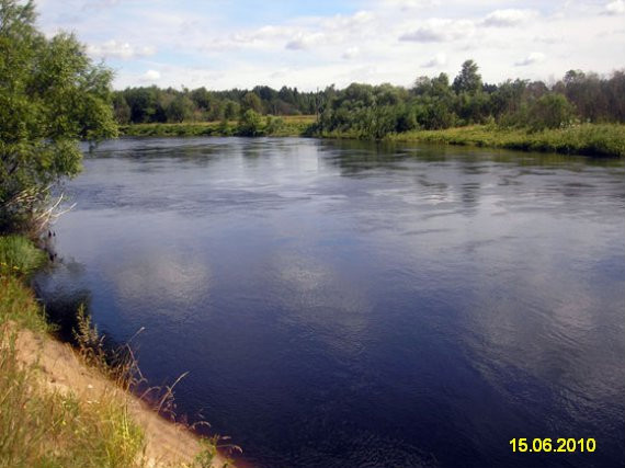 Вода кулой. Кулой (река, впадает в белое море). Река Келноть Ярославская. Река Кулой Пинега. Река Кулой бассейн.