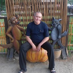 , 51 , 