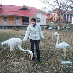 Альбина, 41 год, Воронеж