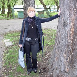 , 53 , 