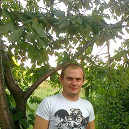 Дима, 33 года, Ждановка