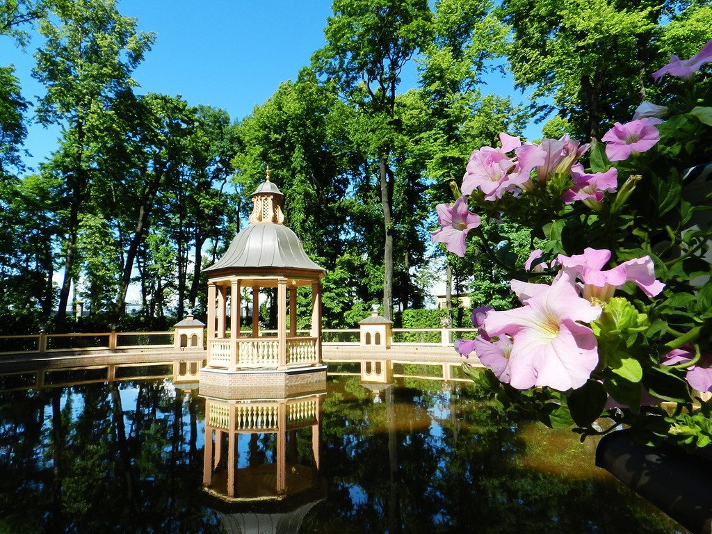 Летний сад в санкт петербурге в мае