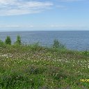 Такие цветочные поляны на Байкале