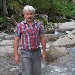 Николай, 63 года, Шипуново