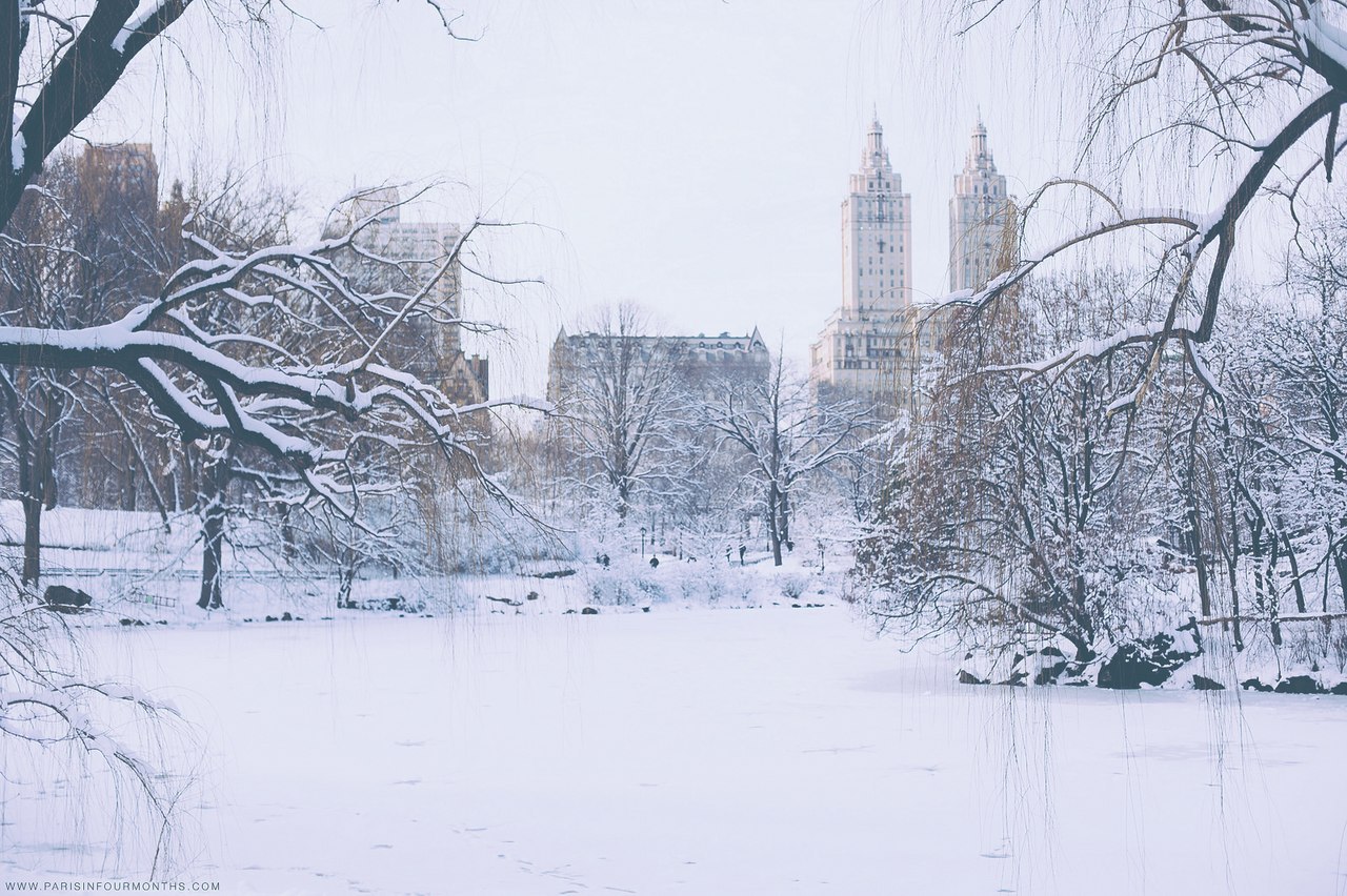 Зимний парк Нью Йорк