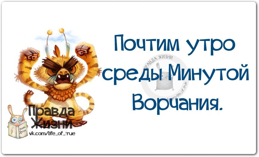 Среда перед. Утро среды. Среда правда жизни. Утро среды юмор. Доброе утро среда Мотивирующие.