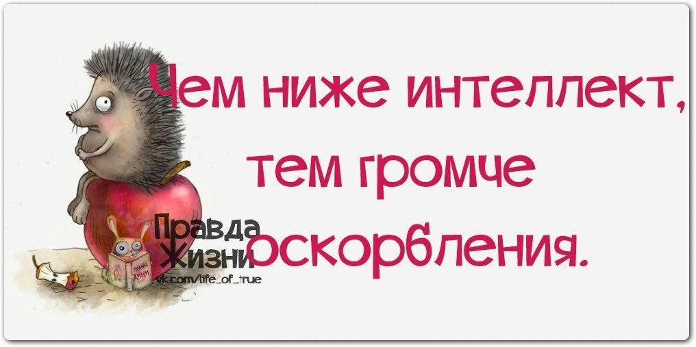 Тем ниже. Чем ниже интеллект тем громче. Чем ниже интеллект тем громче оскорбления. Цитаты чем ниже интеллект тем громче. Чем громче крик тем ниже интеллект.