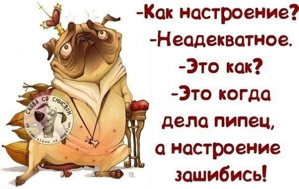 Картинки с вопросом как дела прикольные