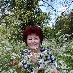 Раиса, 66 лет, Терновка