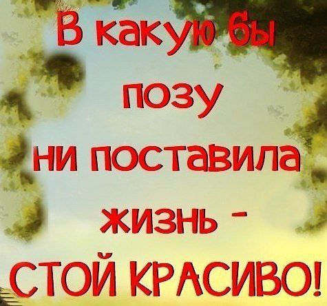 В какую бы позу вас не поставила жизнь стойте красиво картинки