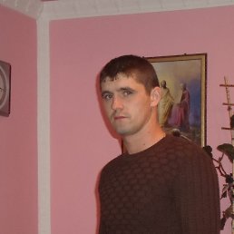 , 33 , 