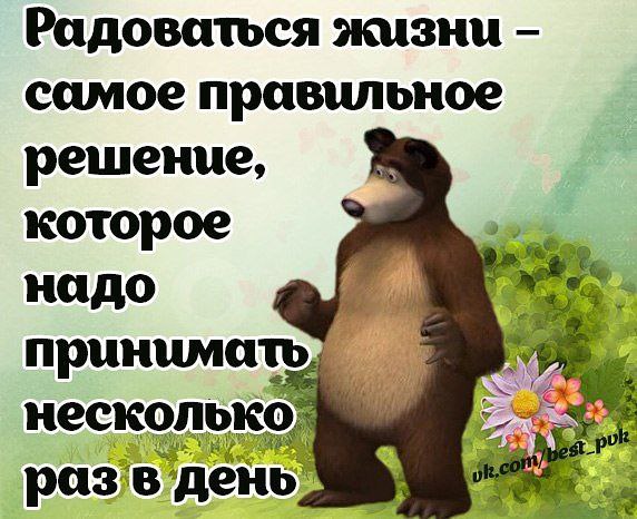 Радоваться жизни самое правильное решение которое надо принимать несколько раз в день картинка