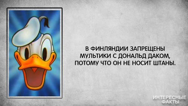 Интересные факты о финляндии