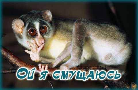 Для, я стесняюсь открытки