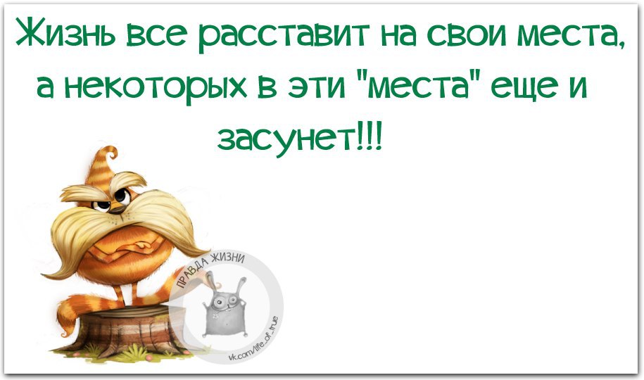 Это значит у вас есть. Если твой оппонент перешел на оскорбления. Правда жизни цитаты. О жизни с юмором. Если ваши враги перешли на личные оскорбления.