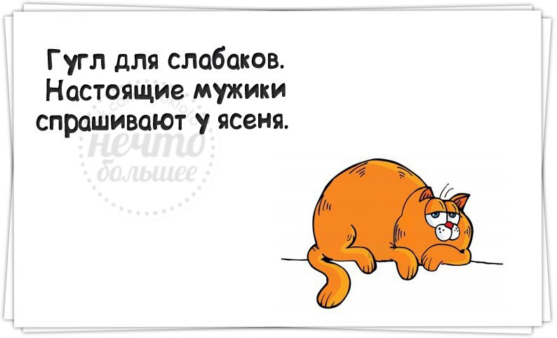 Надписью классная, выходные для слабаков только работа картинки прикольные