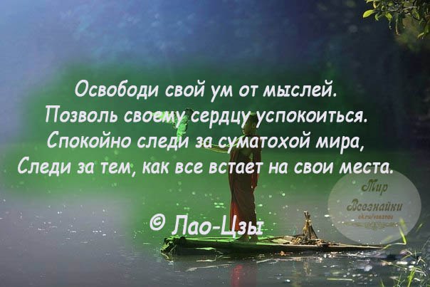 Главное в этой жизни найти своих и успокоиться картинка