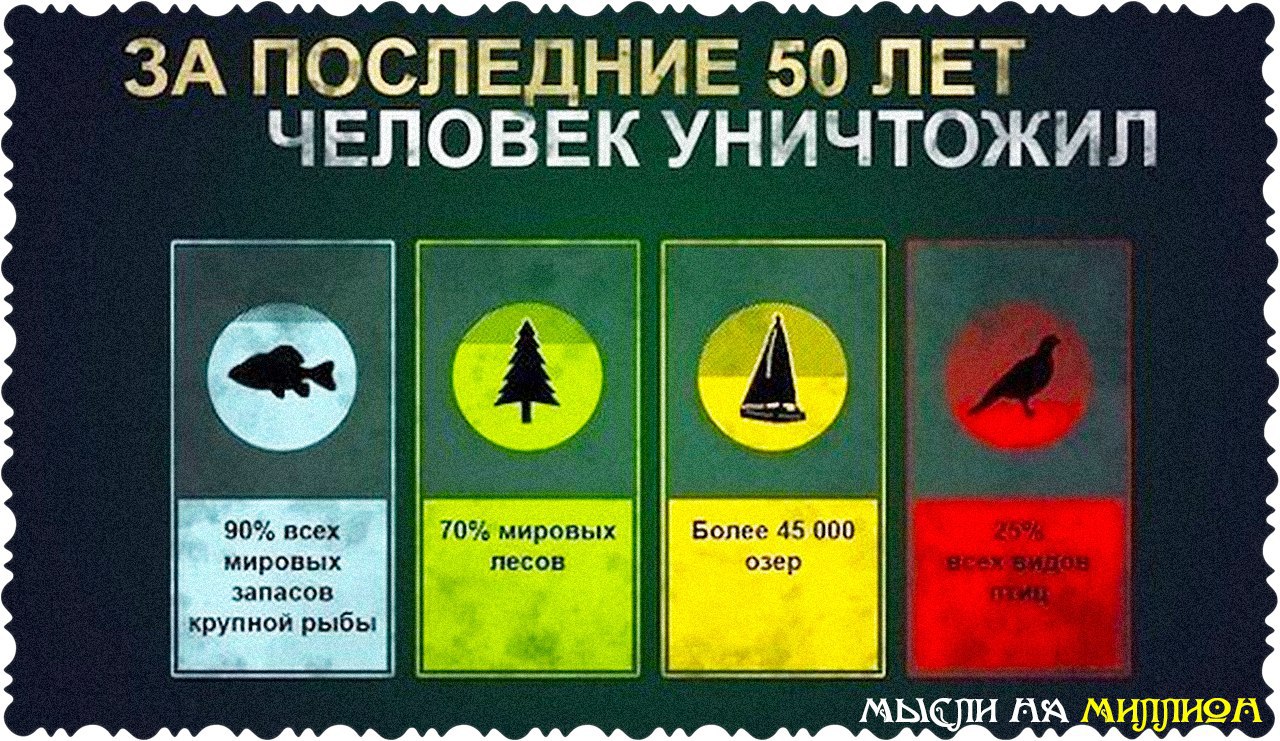 Интересные факты по экологии презентация
