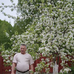 Федор, 66 лет, Каменногорск