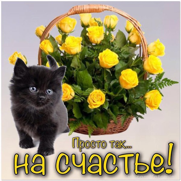 Красивая открытка жене просто так