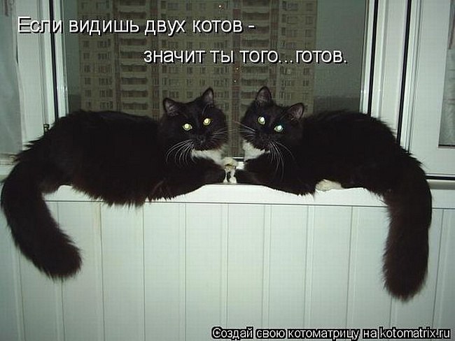 Открытки, картинки с надписями я увидеть