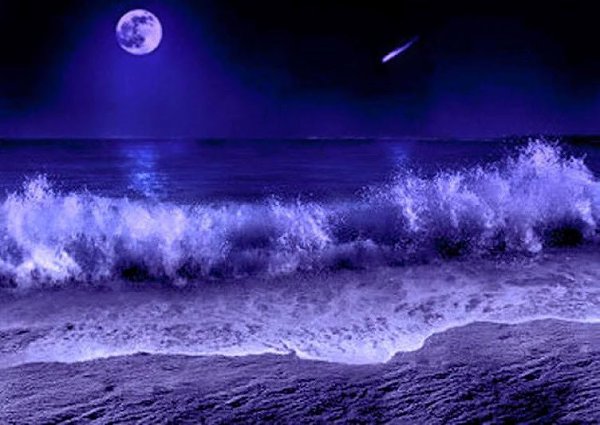 #waves, #coast, #sea, #moonlight, #night, #landscape, #palm trees, #nature, #san