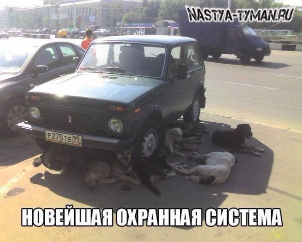 Девушка автомеханик "Настя Туман", №773994641 | Фотострана – cайт ...