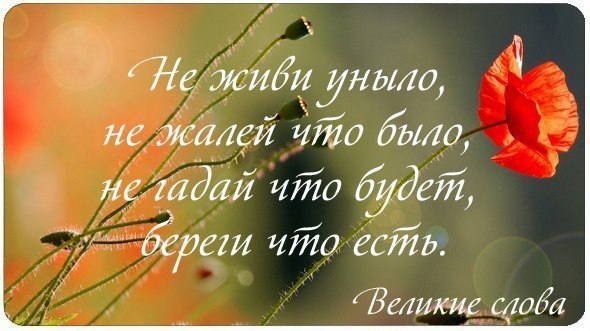 Жалеть себя не обязательно а вот беречь необходимо картинка с надписью