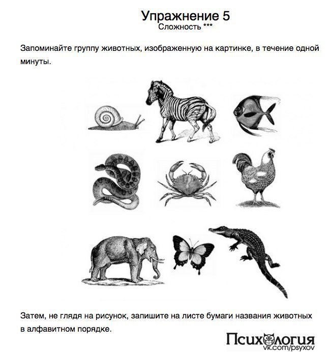 Упражнения на тренировку памяти и внимания. Упражнения для улучшения памяти и внимания у взрослых. Упражнения для развития памяти для пожилых. Упражнения для тренировки памяти у пожилых людей.