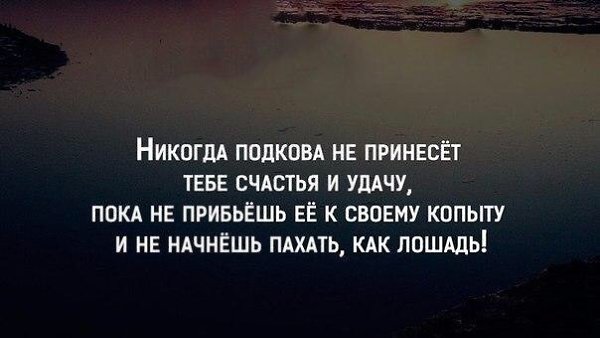 Никогда подкова не принесет тебе счастья и удачу пока картинки, тему сын полка