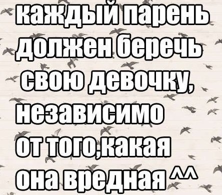 Открытка смешные, картинки с надписями пацаны берегите своих девочек