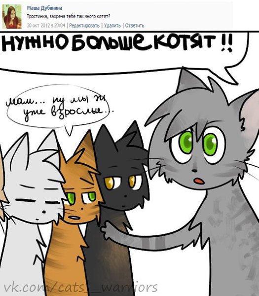 Поздравление рождением, коты воители смешные картинки с надписями до слез