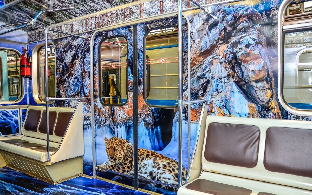 Красивые поезда московского метро