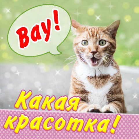 Вау красотка картинки анимация