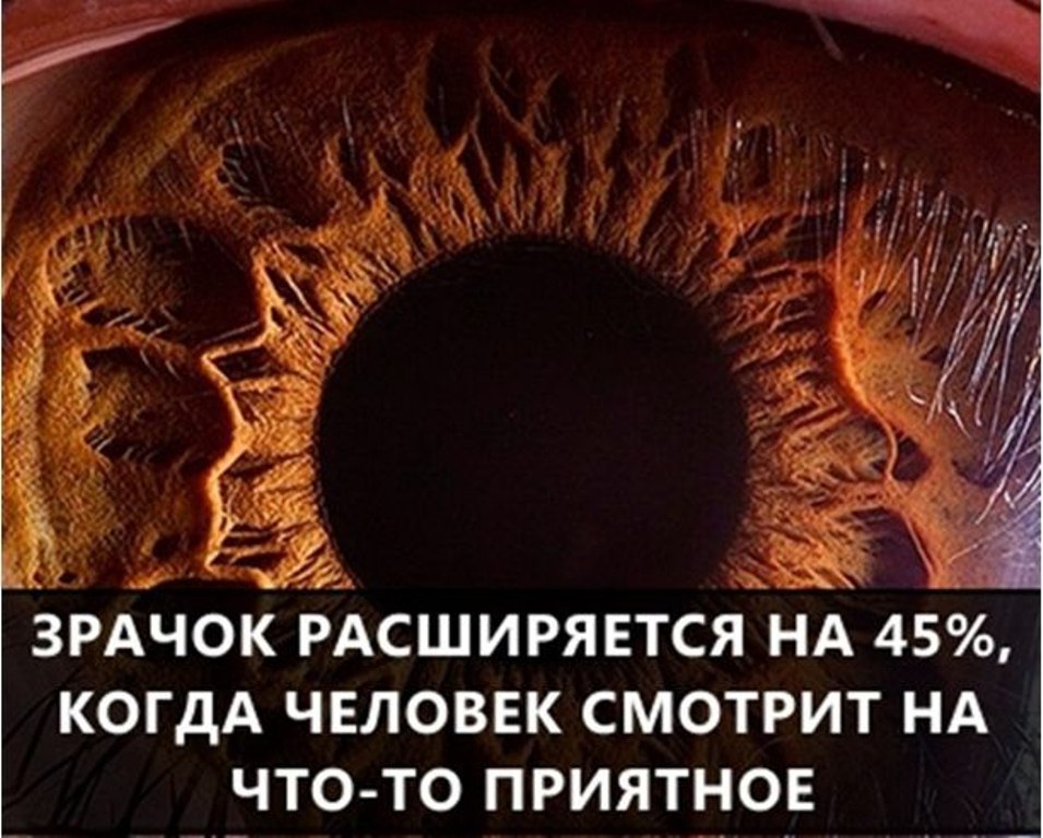 Мир Фактов Фото