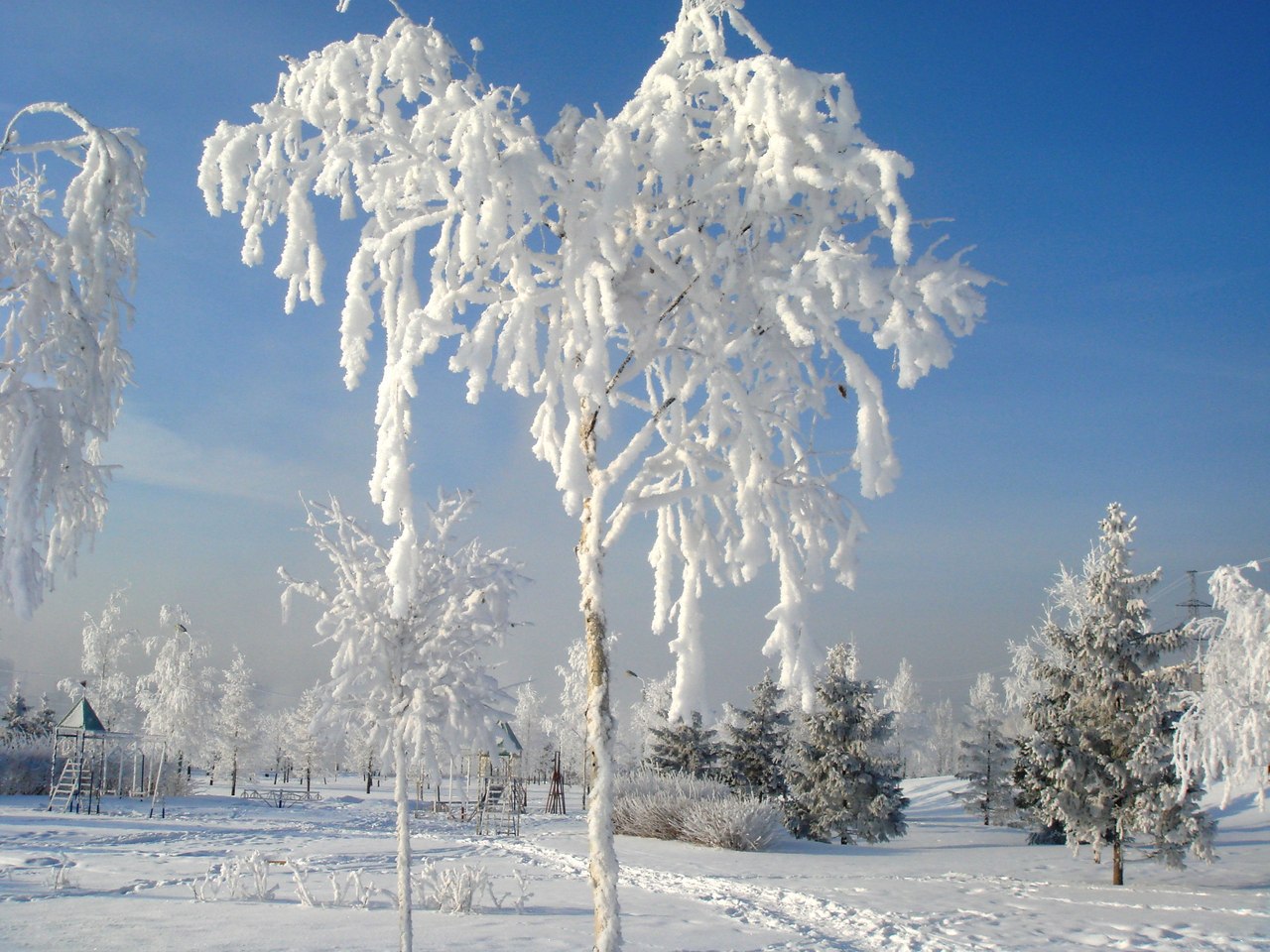 Природная зона продолжительная морозная зима. Иней это явление природы. Иней на деревьях. Природные явления зимой. Дети на природе зимой.