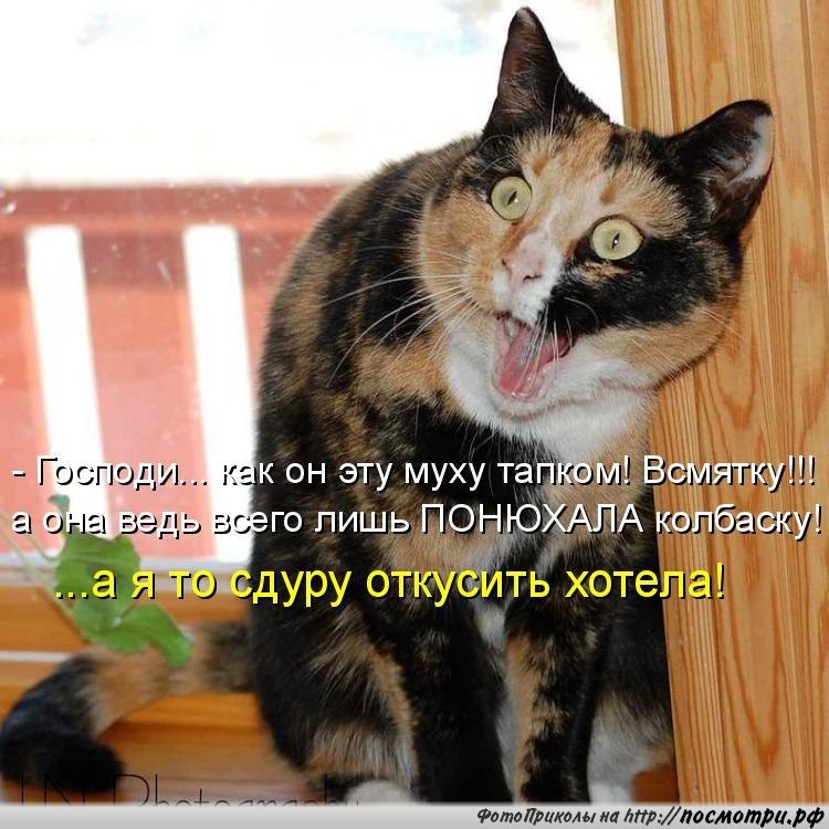 Для, открытки не понял