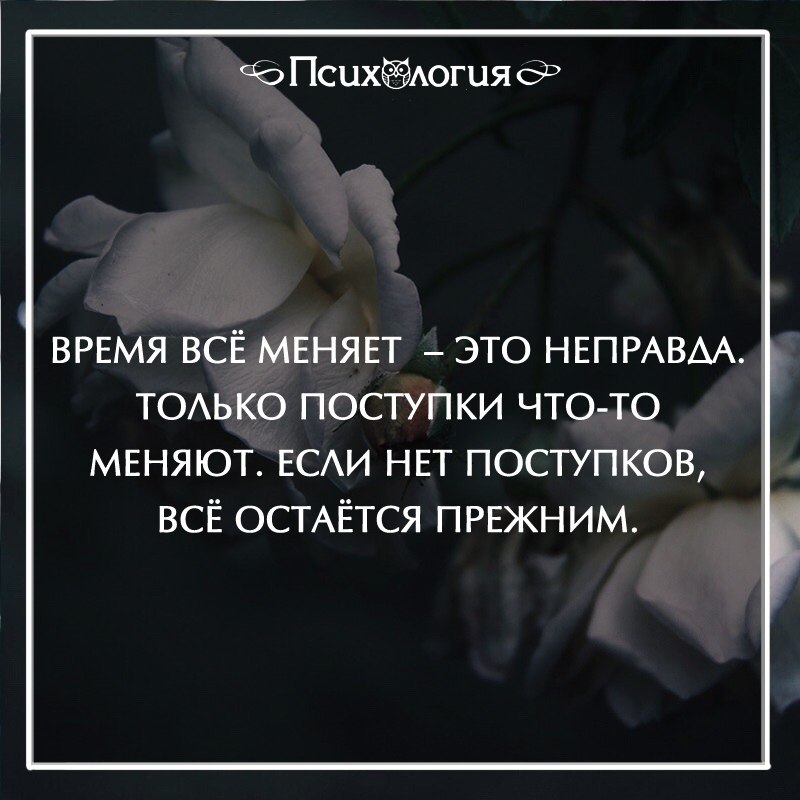 Еще необдуманное решение и впрямь быстро превратилось в четкий план закрытые шлюзы необдуманное