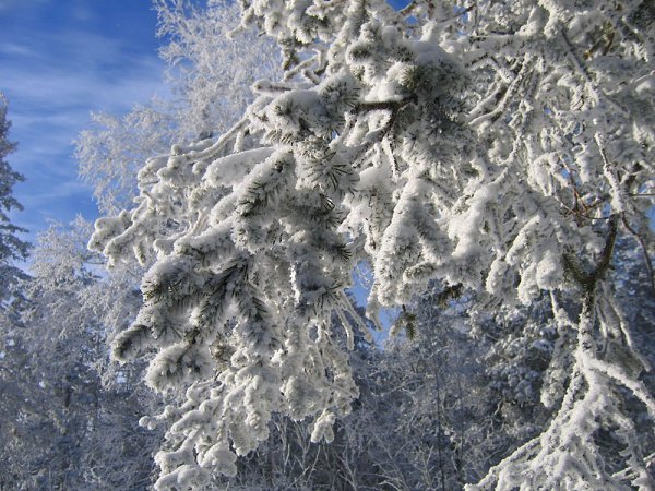 Красавица Зима Фото