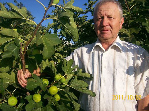 Джеппаров эскендер руштиевич фото