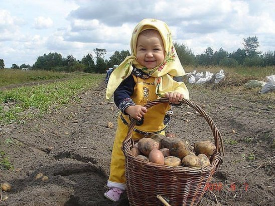 Подоила я козу . Собрала картошку. Ни кому я не скажу, что люблю Сережку. 